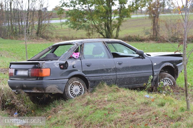 Auto wypadło z drogi między Casarzowicami a Piersnem