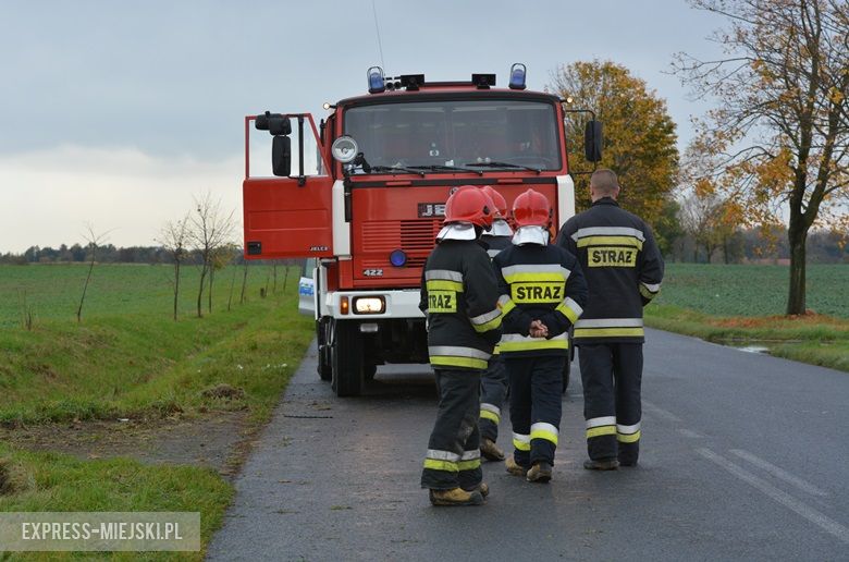 Auto wypadło z drogi między Casarzowicami a Piersnem