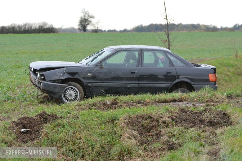 Auto wypadło z drogi między Casarzowicami a Piersnem