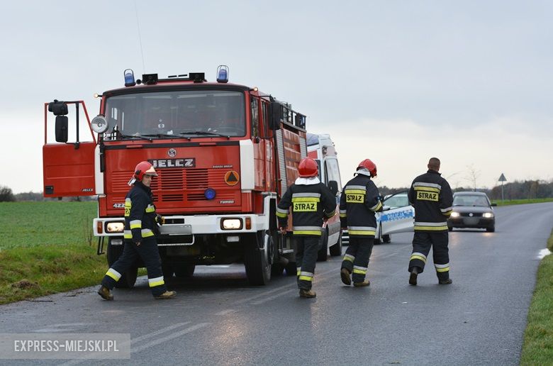 Auto wypadło z drogi między Casarzowicami a Piersnem