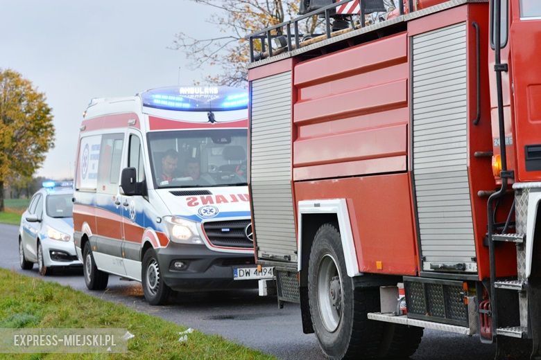 Auto wypadło z drogi między Casarzowicami a Piersnem