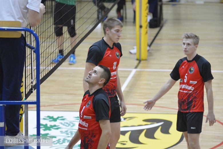 Tygrysy rozszarpały Średzianina