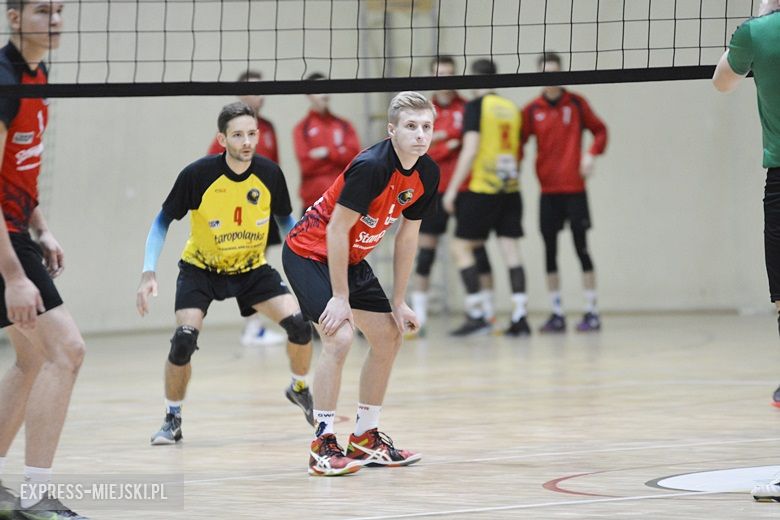 Tygrysy rozszarpały Średzianina