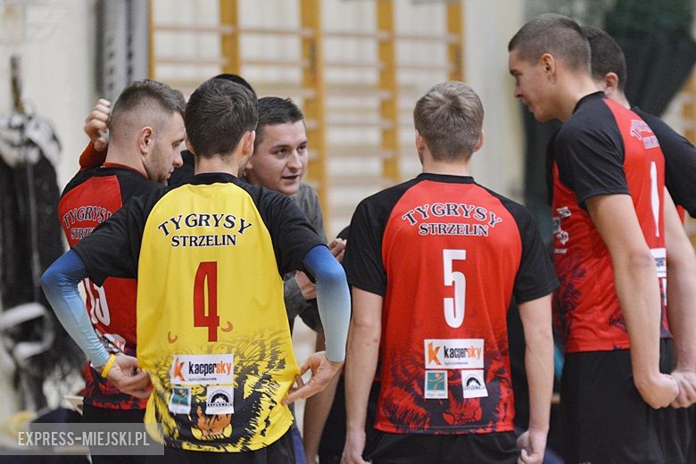 Tygrysy rozszarpały Średzianina