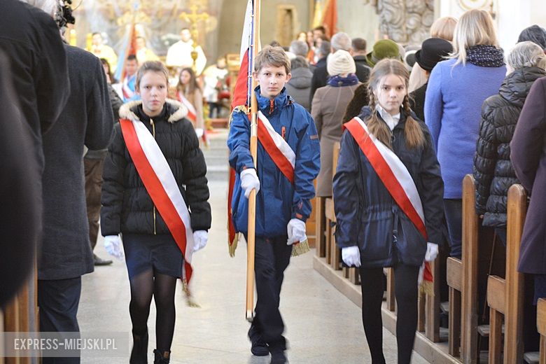 Święto Niepodległości w Środzie Śląskiej