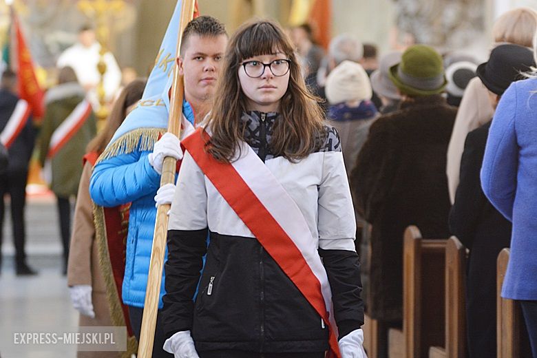 Święto Niepodległości w Środzie Śląskiej