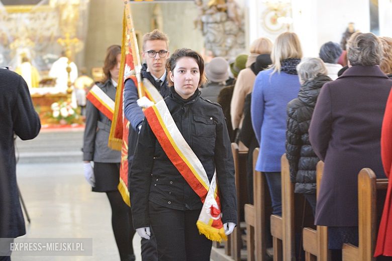 Święto Niepodległości w Środzie Śląskiej