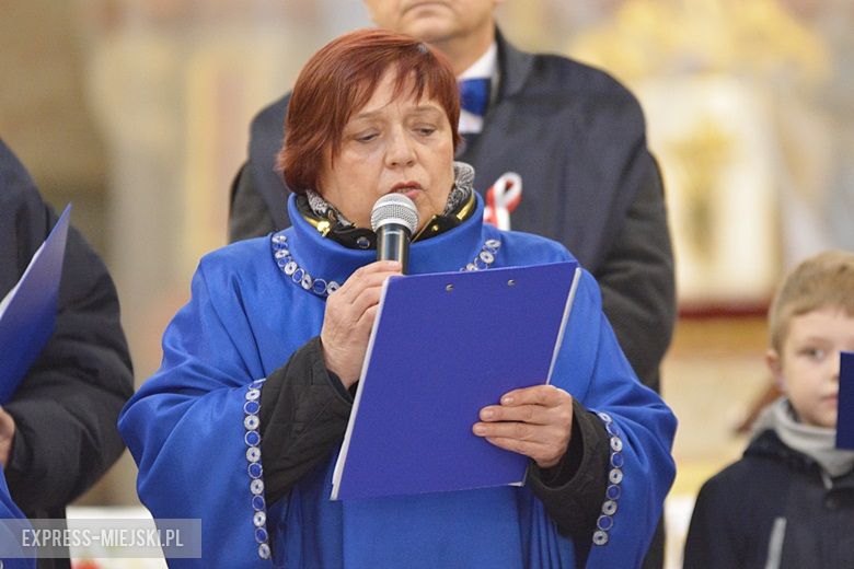 Święto Niepodległości w Środzie Śląskiej