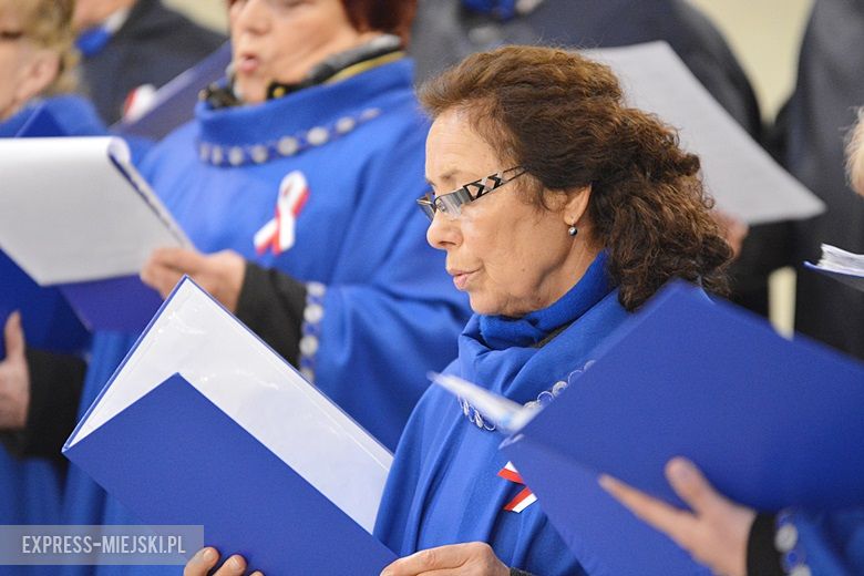 Święto Niepodległości w Środzie Śląskiej