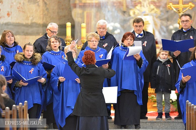 Święto Niepodległości w Środzie Śląskiej