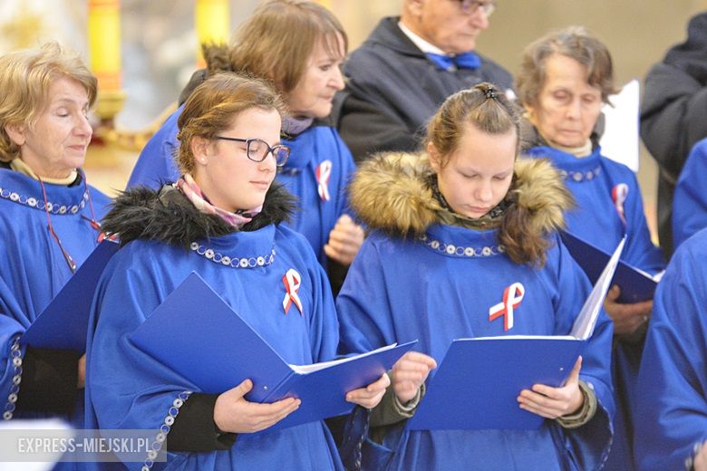Święto Niepodległości w Środzie Śląskiej