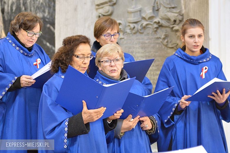 Święto Niepodległości w Środzie Śląskiej