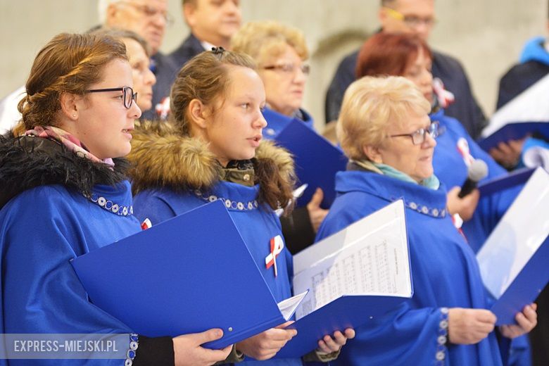 Święto Niepodległości w Środzie Śląskiej