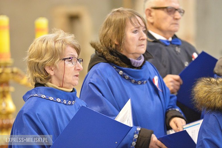 Święto Niepodległości w Środzie Śląskiej