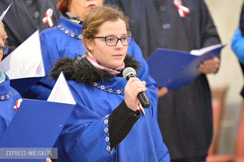 Święto Niepodległości w Środzie Śląskiej