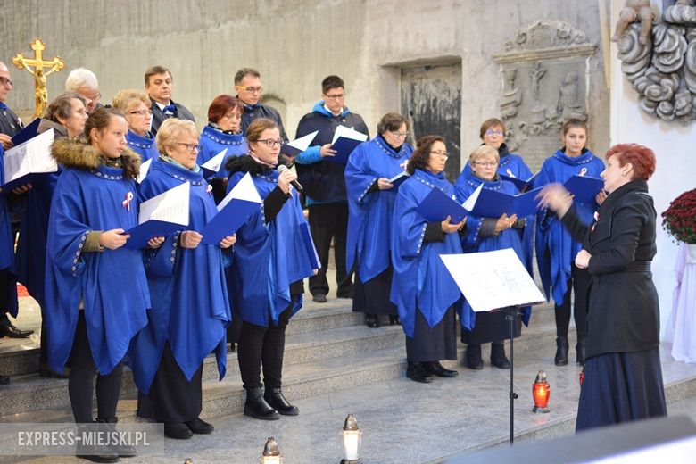 Święto Niepodległości w Środzie Śląskiej