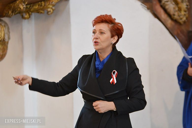 Święto Niepodległości w Środzie Śląskiej