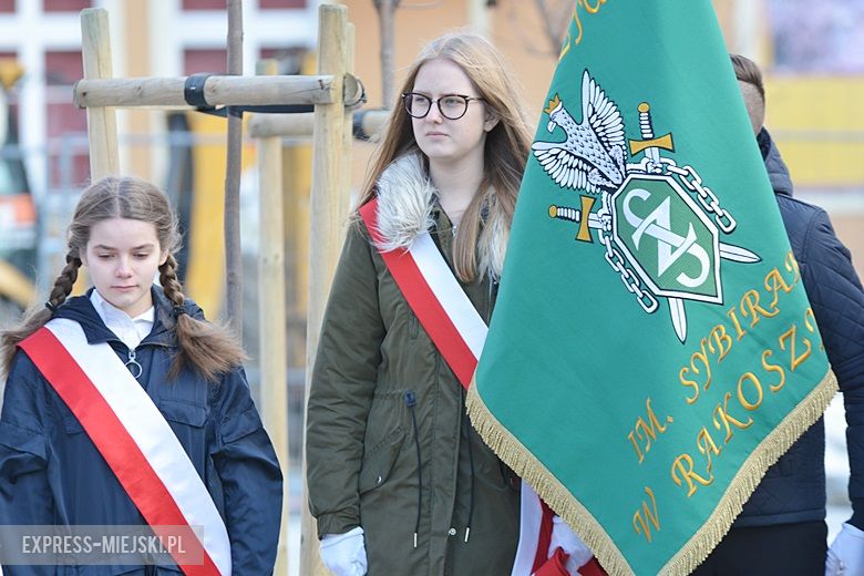 Święto Niepodległości w Środzie Śląskiej