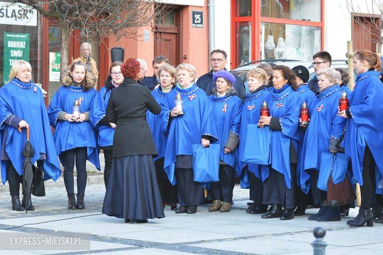 Święto Niepodległości w Środzie Śląskiej