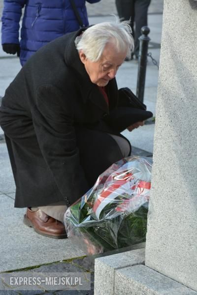 Święto Niepodległości w Środzie Śląskiej