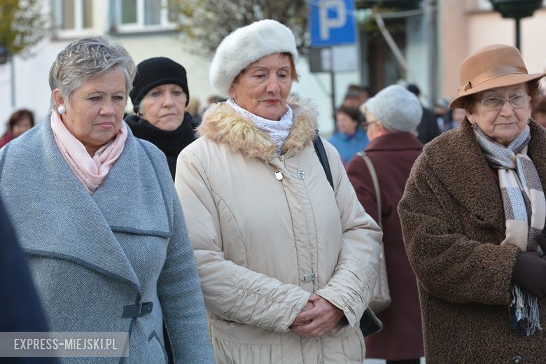 Święto Niepodległości w Środzie Śląskiej