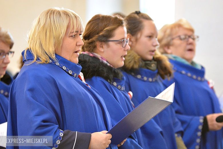 Święto Niepodległości w Środzie Śląskiej