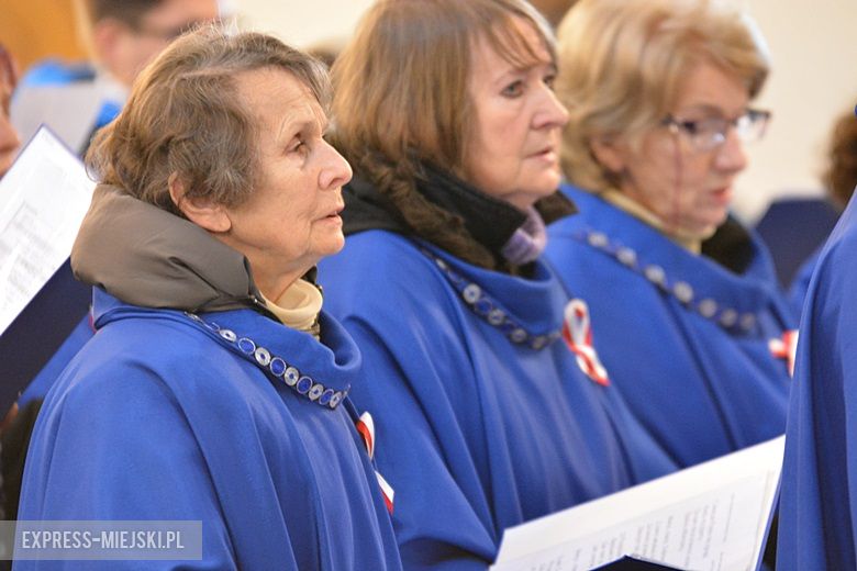 Święto Niepodległości w Środzie Śląskiej