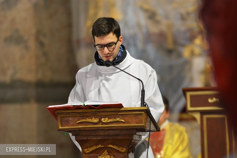 Święto Niepodległości w Środzie Śląskiej