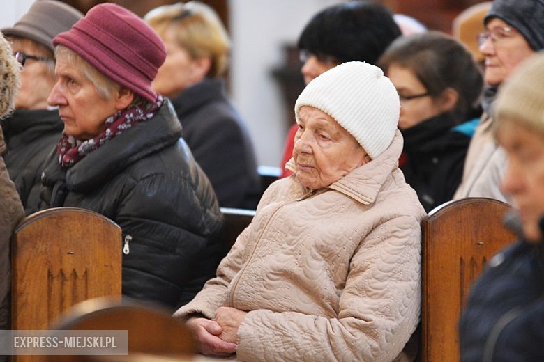 Święto Niepodległości w Środzie Śląskiej