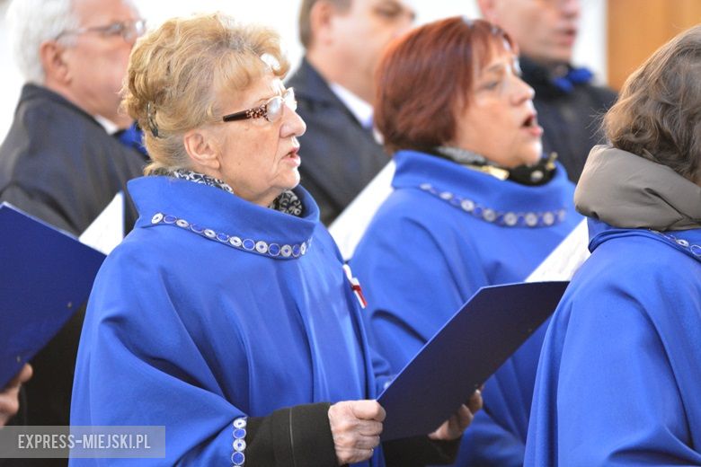 Święto Niepodległości w Środzie Śląskiej