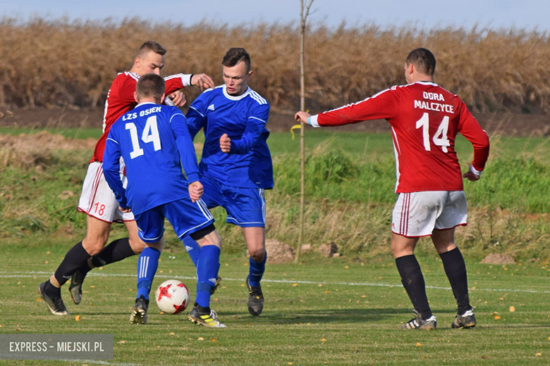 LZS Osiek - Odra Malczyce 10:1