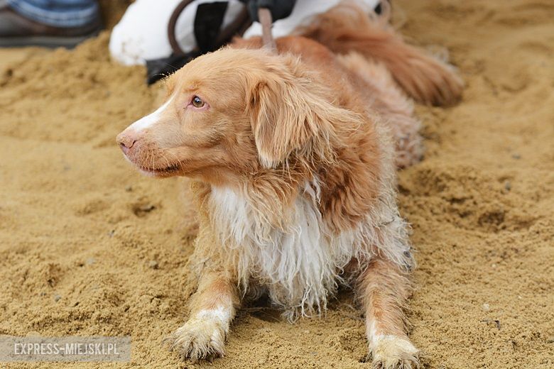 Zawody jeździeckie w Gałowie