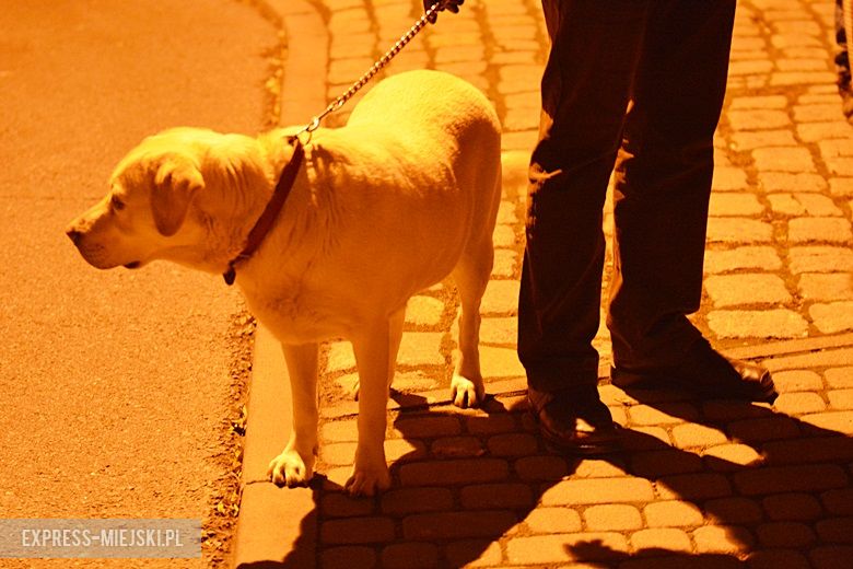 Protest w Środzie Śląskiej