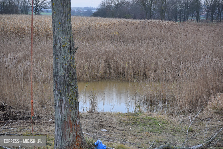 Rewitalizacja akwnu w Chomiązy
