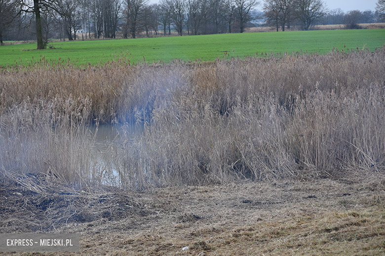 Rewitalizacja akwnu w Chomiązy