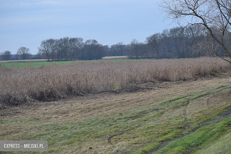 Rewitalizacja akwnu w Chomiązy