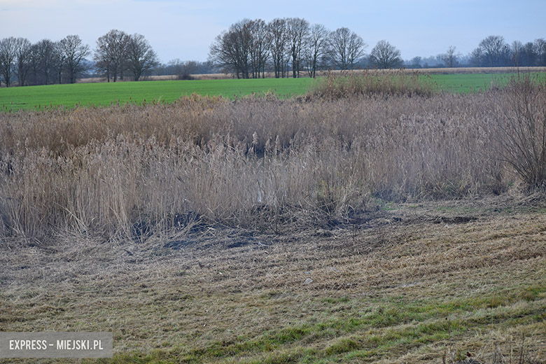Rewitalizacja akwnu w Chomiązy