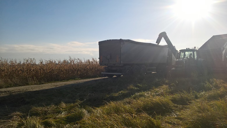 Zniszczone pole i zabrudzone drogi w Kwietnie