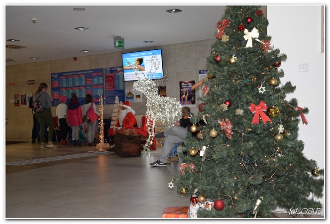 Zabawa na basenie z Mikołajem