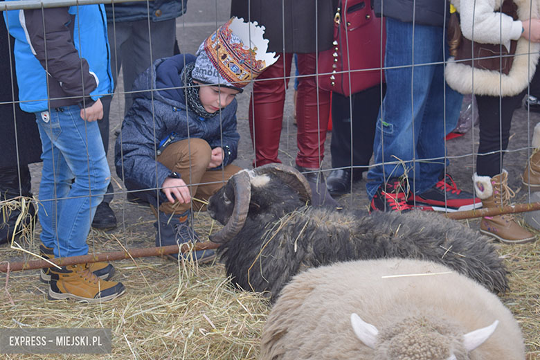 Ulicami Malczyc przeszedł orszak