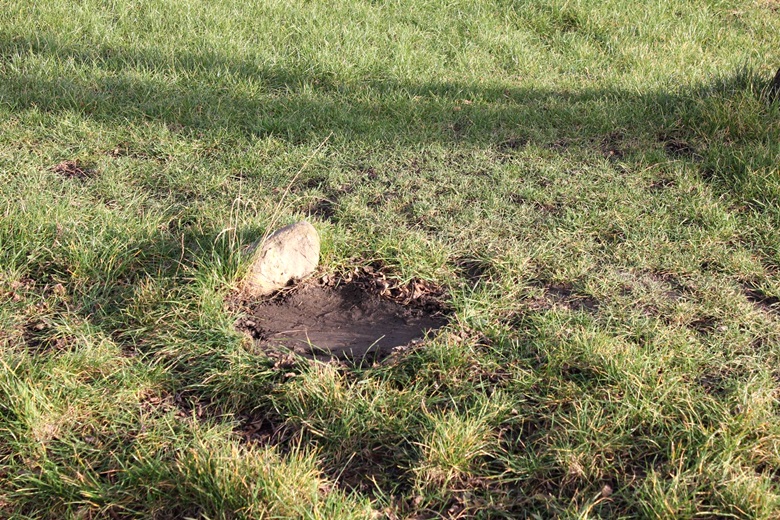 Wyrwane drzewka przy boisku w Juszczynie