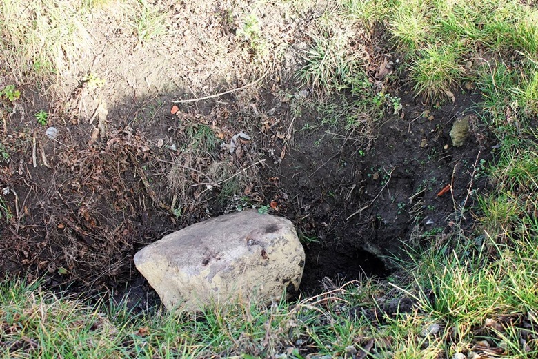 Wyrwane drzewka przy boisku w Juszczynie