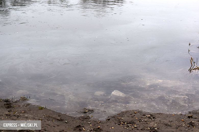 Plama na Odrze w Malczycach