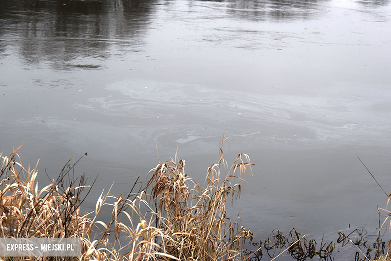 Plama na Odrze w Malczycach