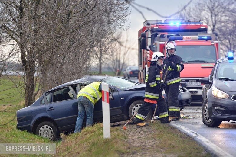 Auto wjechało do rowu na drodze wojewódzkiej