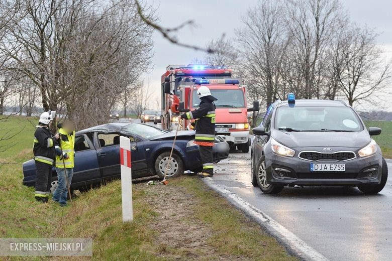 Auto wjechało do rowu na drodze wojewódzkiej
