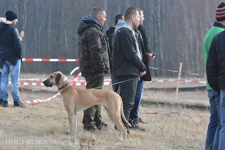 Szrotowisko 2018 w Przedmościu