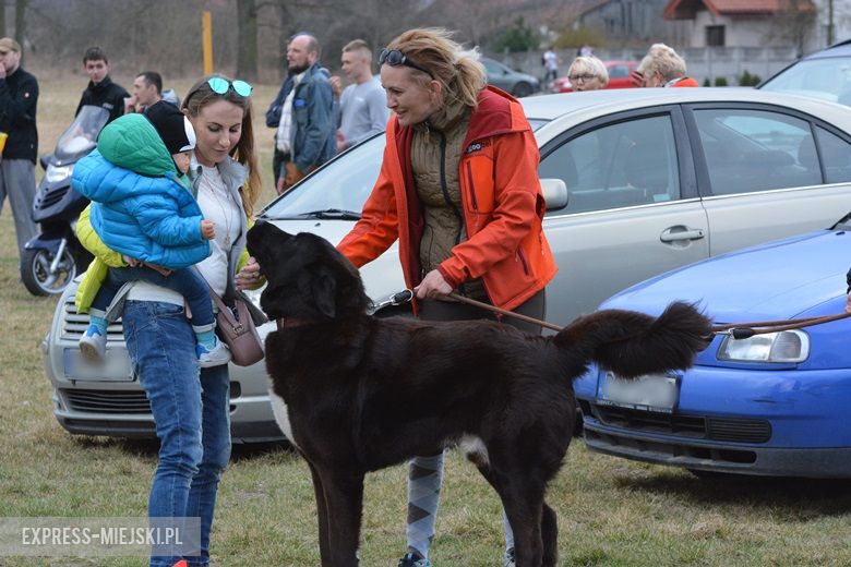 Pogoń Miękinia vs Ambrozja Bogdaszowice