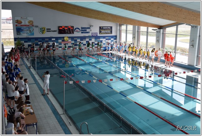 Mistrzostwa powiatu w pływaniu