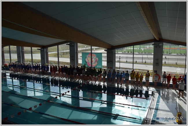 Mistrzostwa powiatu w pływaniu